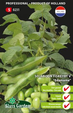 Soya bean Fiskeby V (Glycine max) 85 seeds